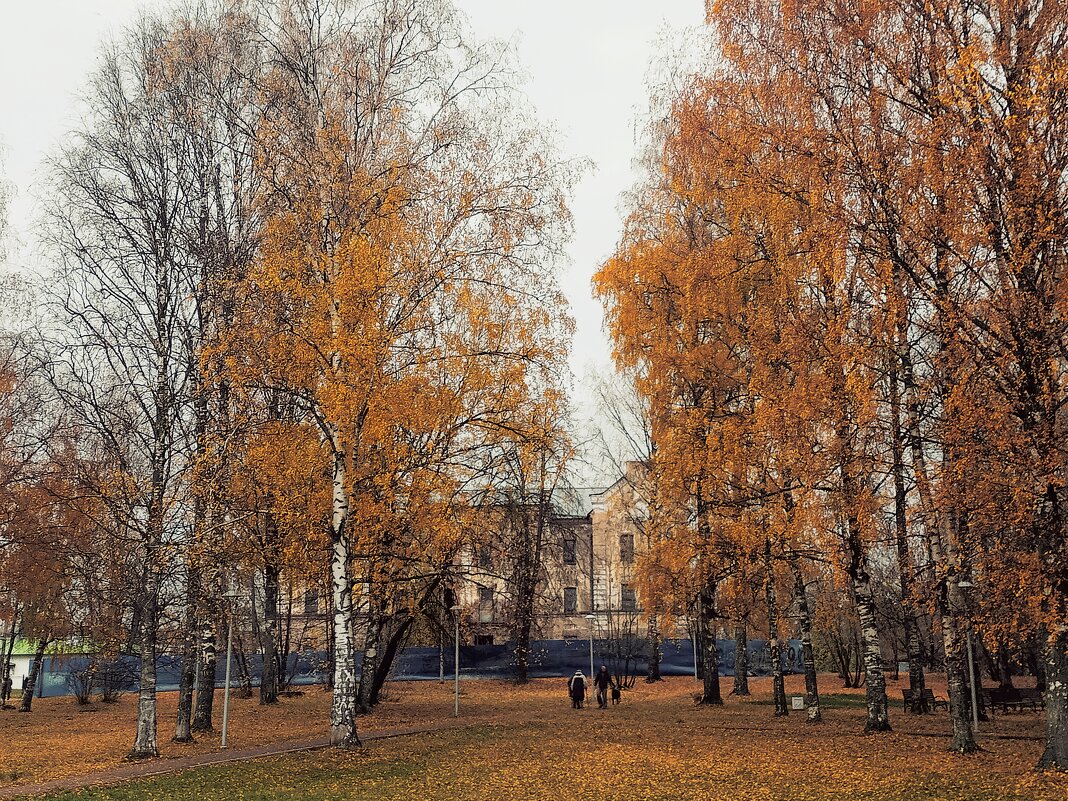 Осенний парк - Сергей Кочнев
