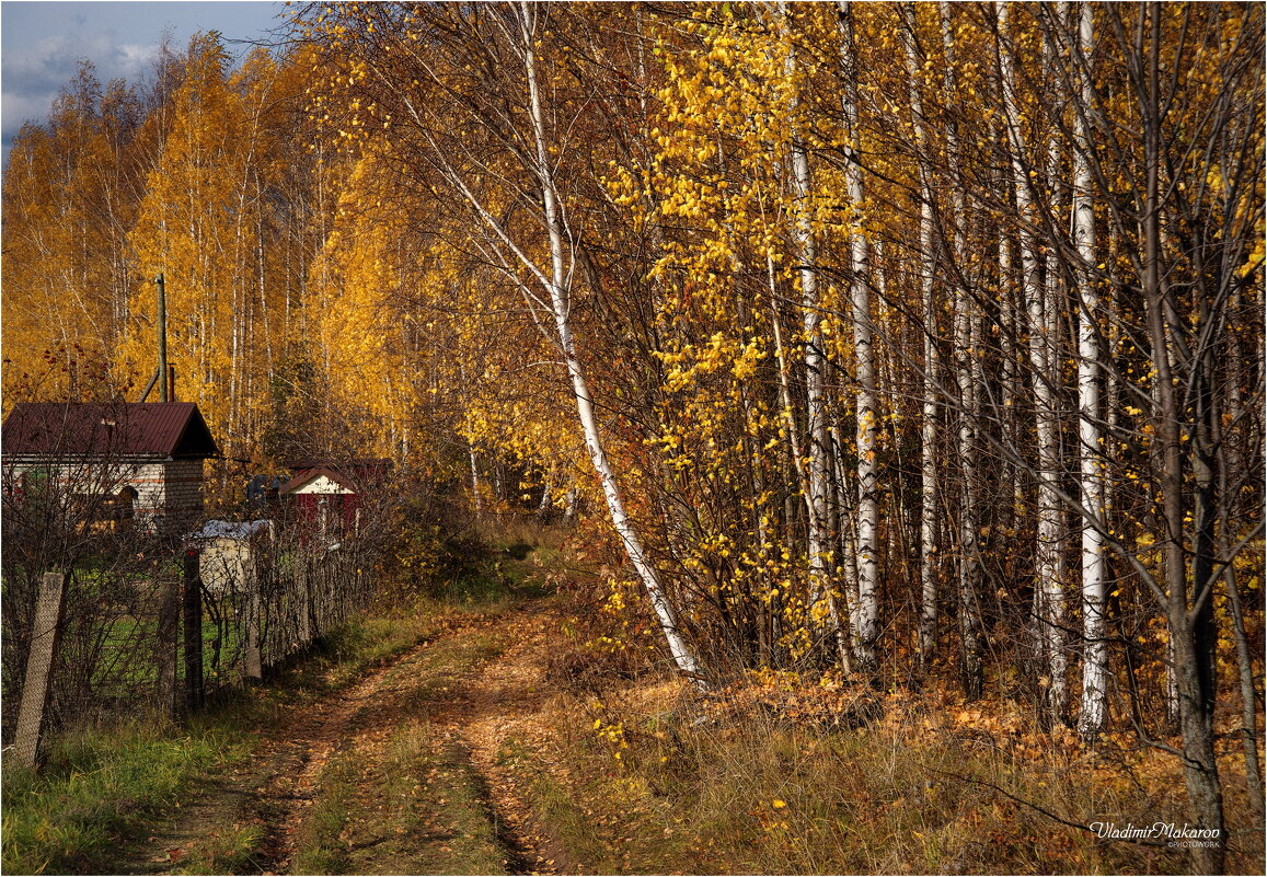 "Домик у края осеннего леса"© - Владимир Макаров