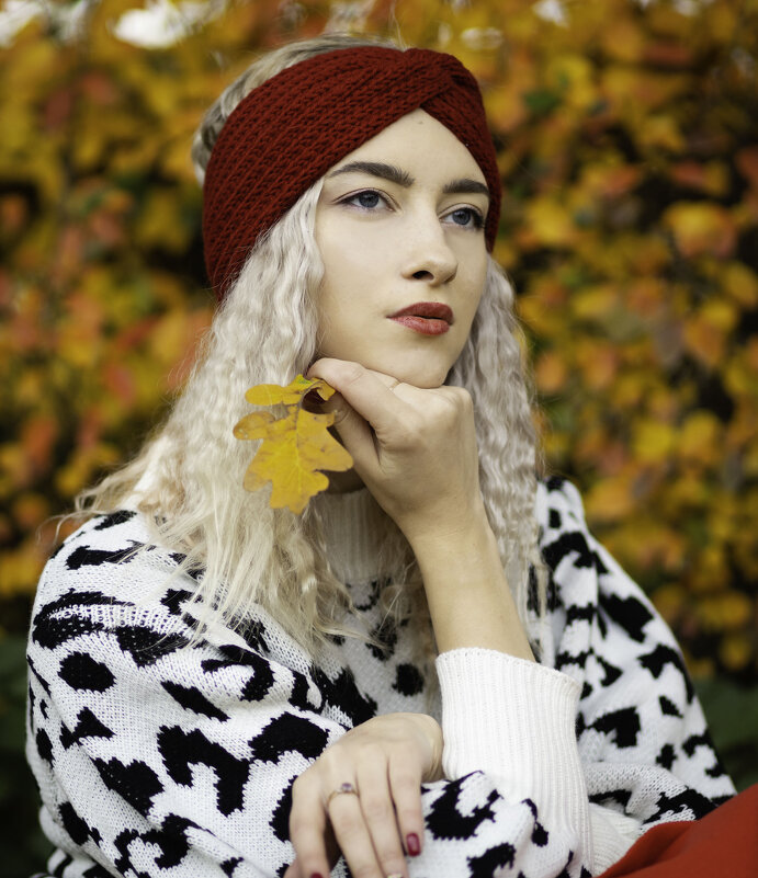 Осенний портрет - Владимир Тро