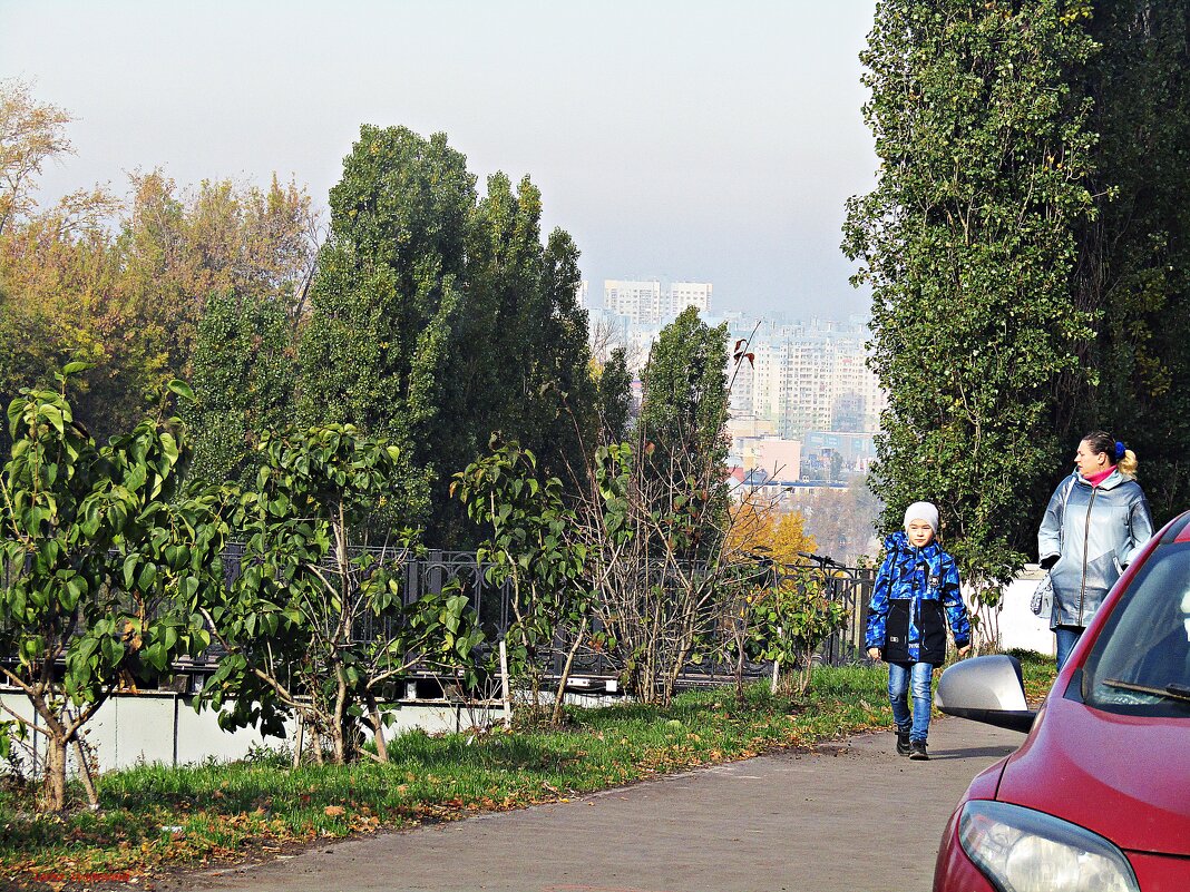 Городская зарисовка - Лариса 