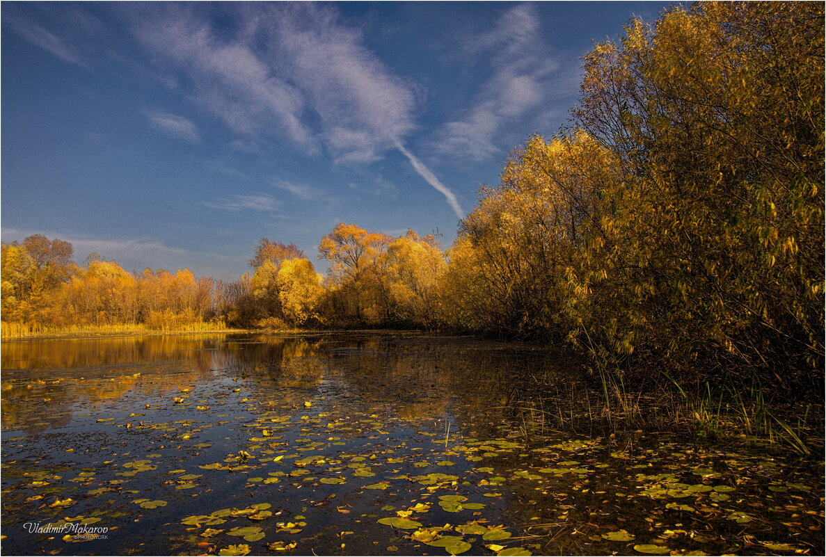"Листья на воде"© - Владимир Макаров