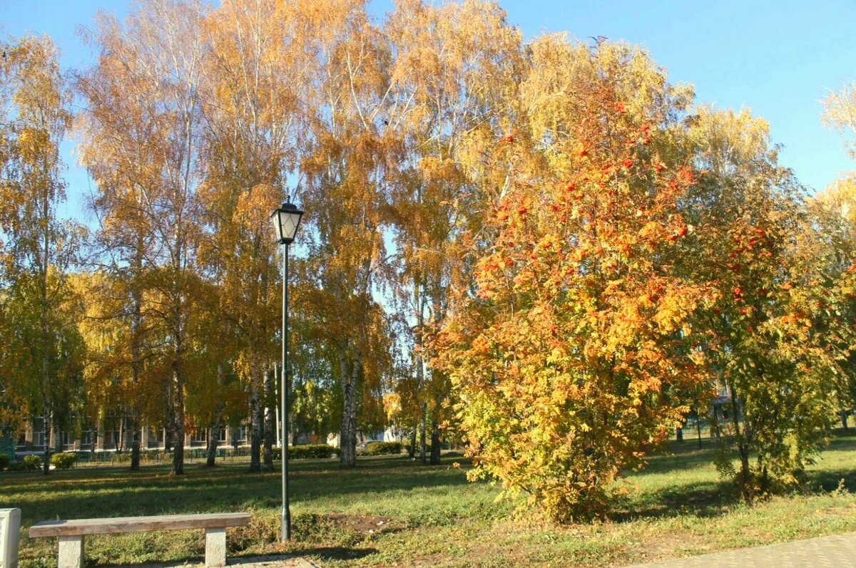 Золотая осень - Горкун Ольга Николаевна 