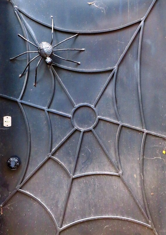 Дверь с пауком - Андрей Снегерёв