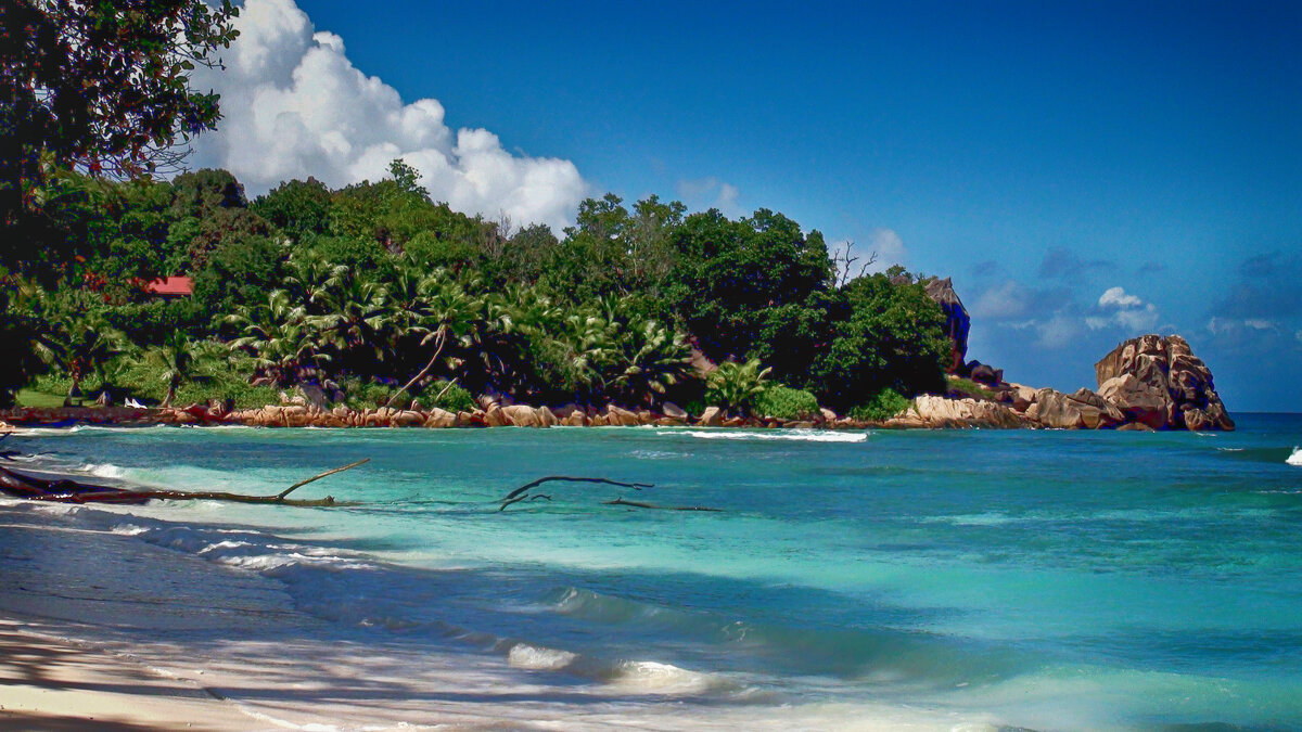 Seychelles. La Digue island. anse Severe. - Voyager .