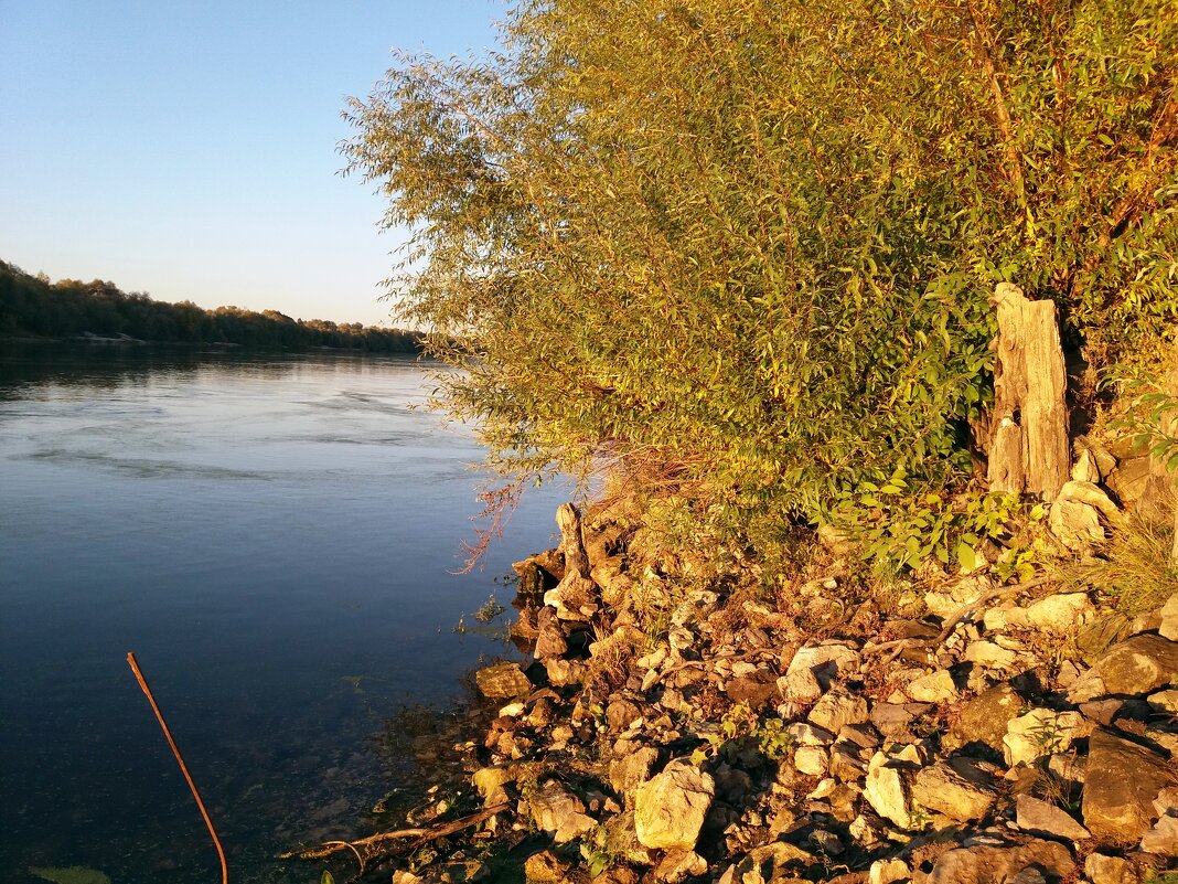 На берегу реки Ока - Galina Solovova
