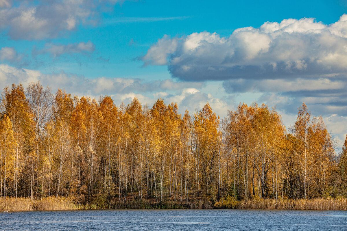 осень на озере - Александр Есликов