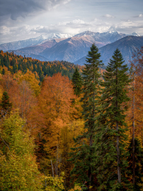 Осень в горах Адыгеи - Сергей Сабешкин