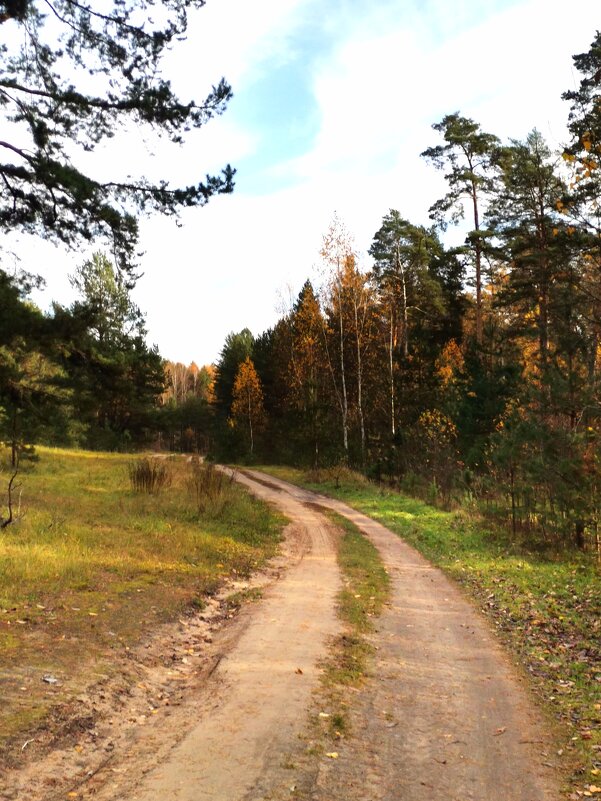 Дорога в Осень - Евгения Куприянова