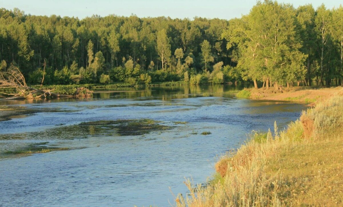 Башкирия река Белая - Горкун Ольга Николаевна 