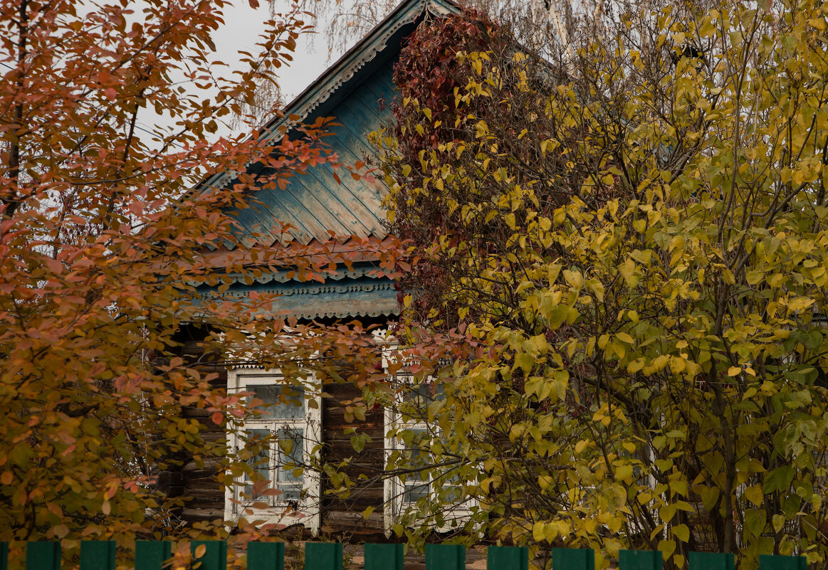 Домик в деревне - Татьяна Гузева