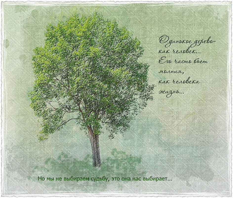 Одинокое дерево - Зинаида Бор 