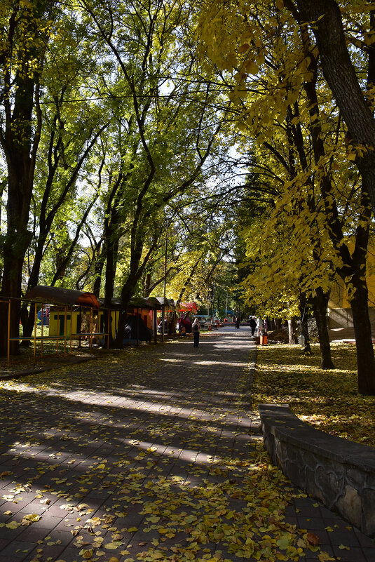 Осень в парке - Александр 