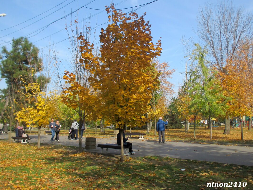 Солнечная осень - Нина Бутко