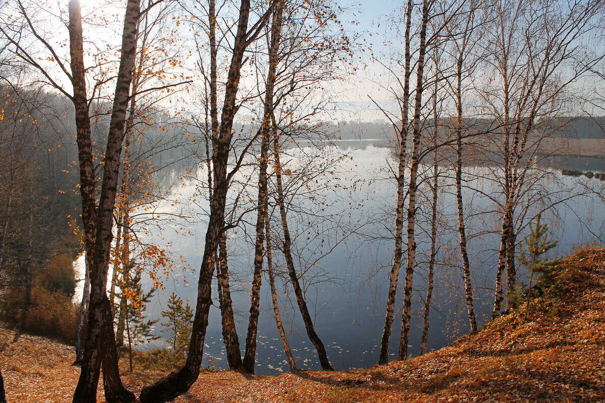 Скоро облетит последний лист, но Осень все еще прекрасна... - tamara kremleva
