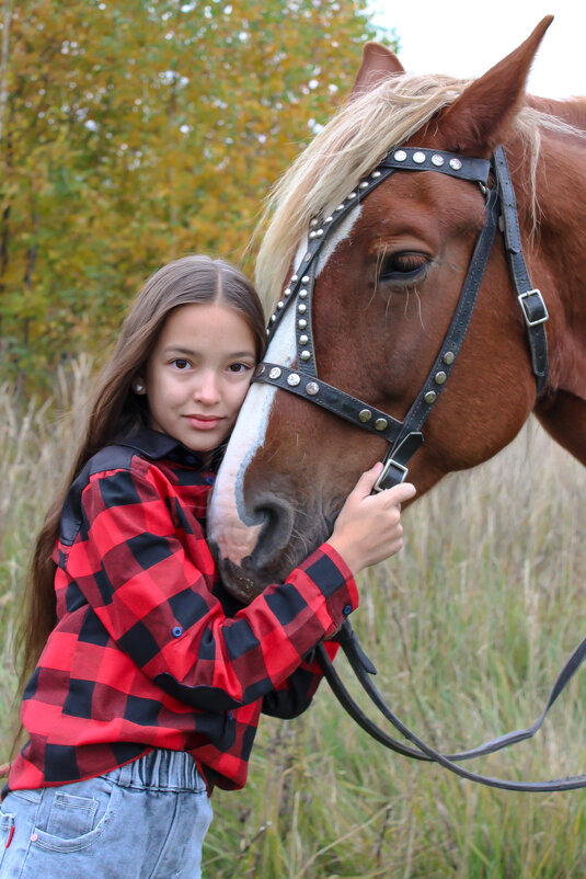 Я люблю свою лошадку - Елена Верховская