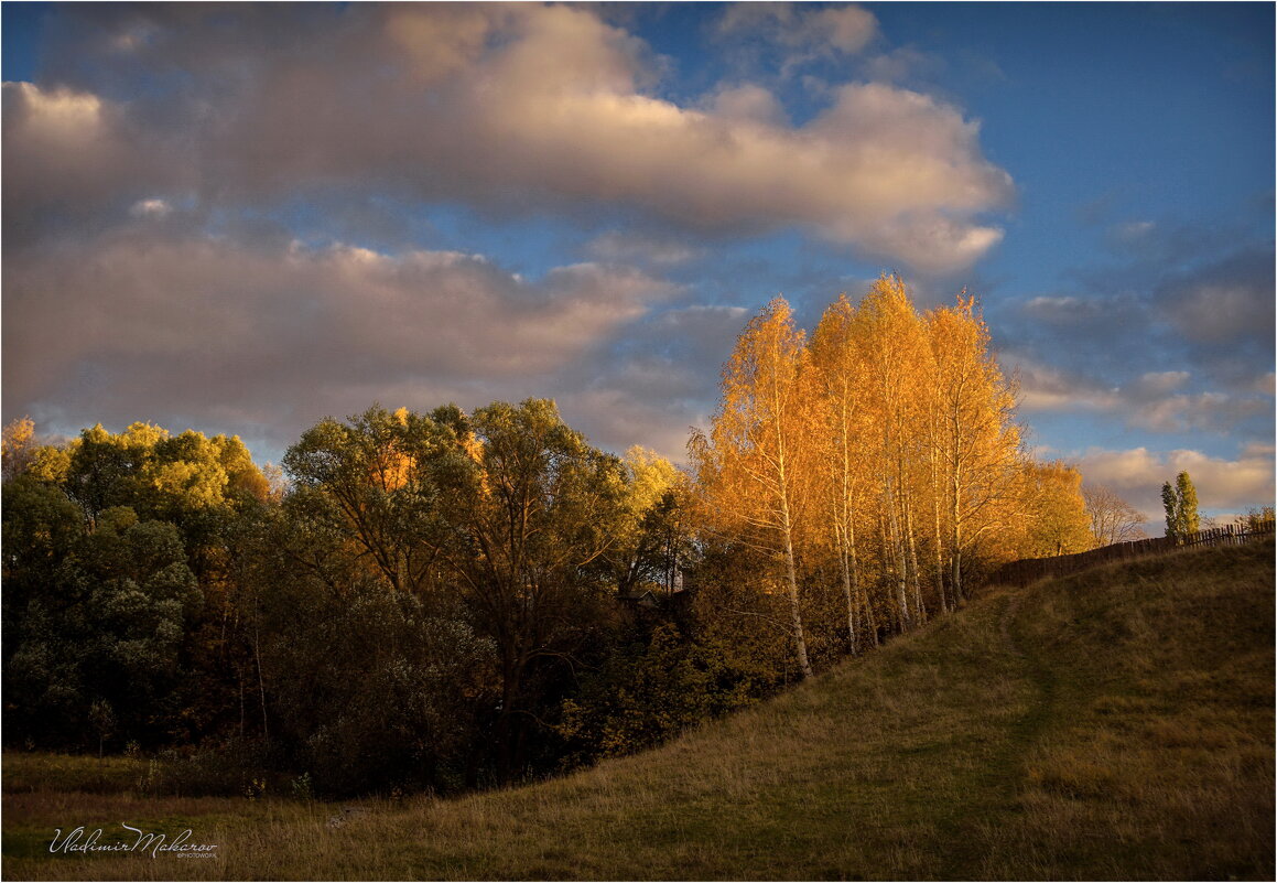 "Осенним вечером у рощицы на горке"© - Владимир Макаров