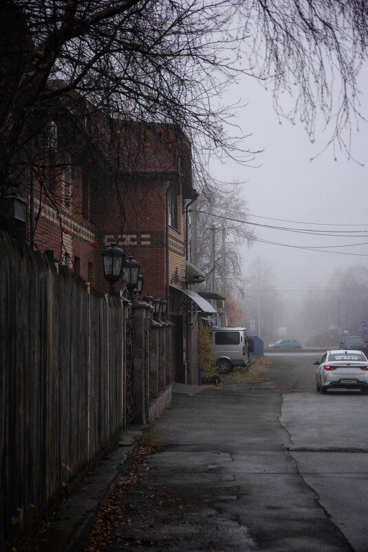 Туман в городе - Елена 