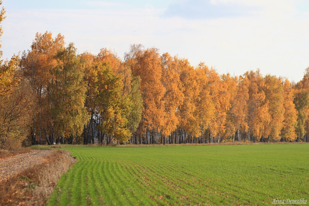 Осень - Арина 