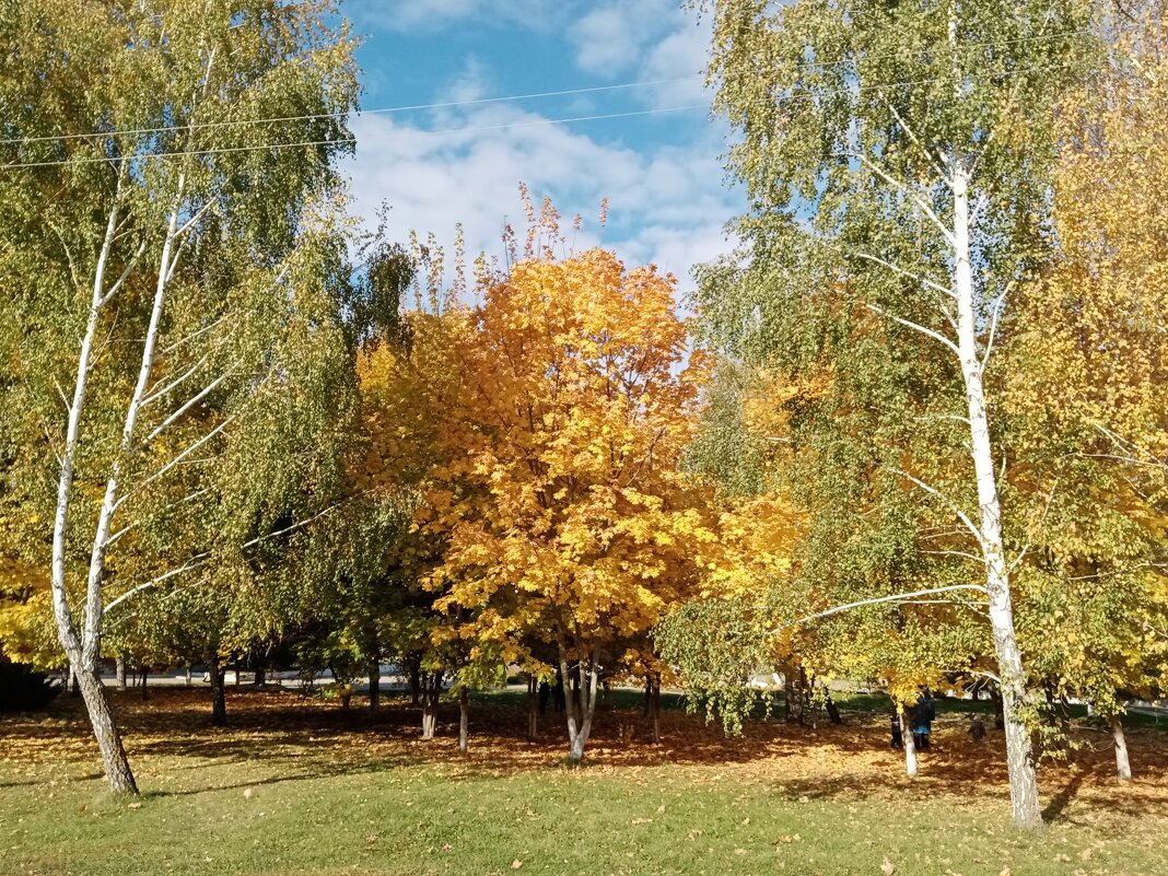 Осеннее. - Владимир Драгунский