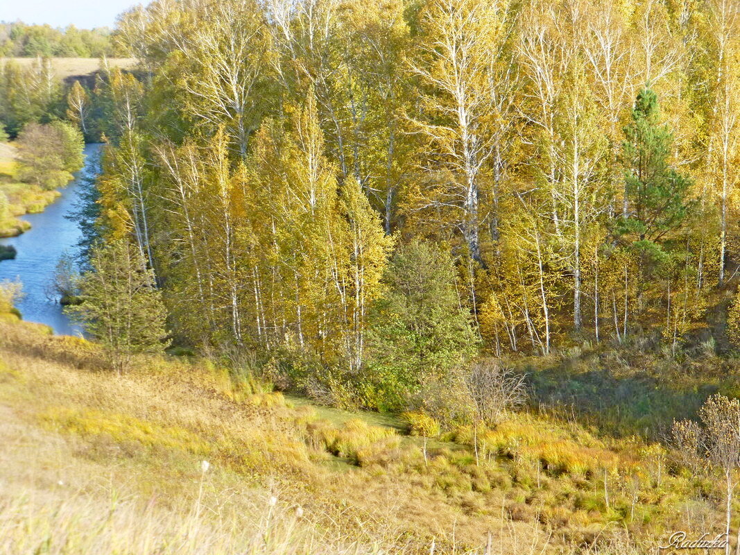 Река Кирилловка Самарской области - Raduzka (Надежда Веркина)