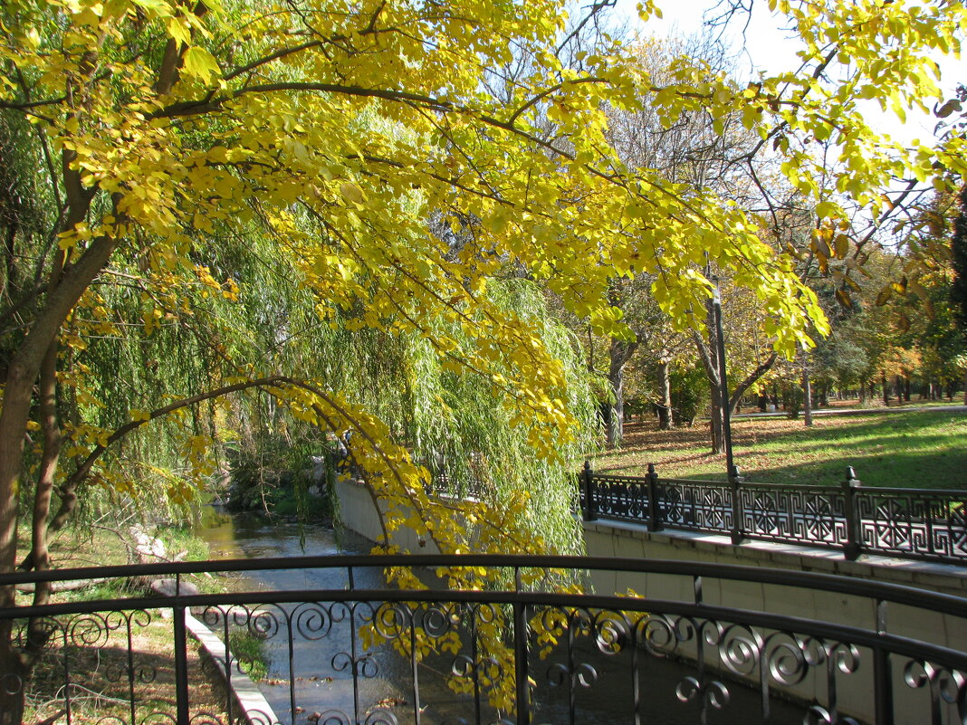 Осень в нашем парке - Варвара 
