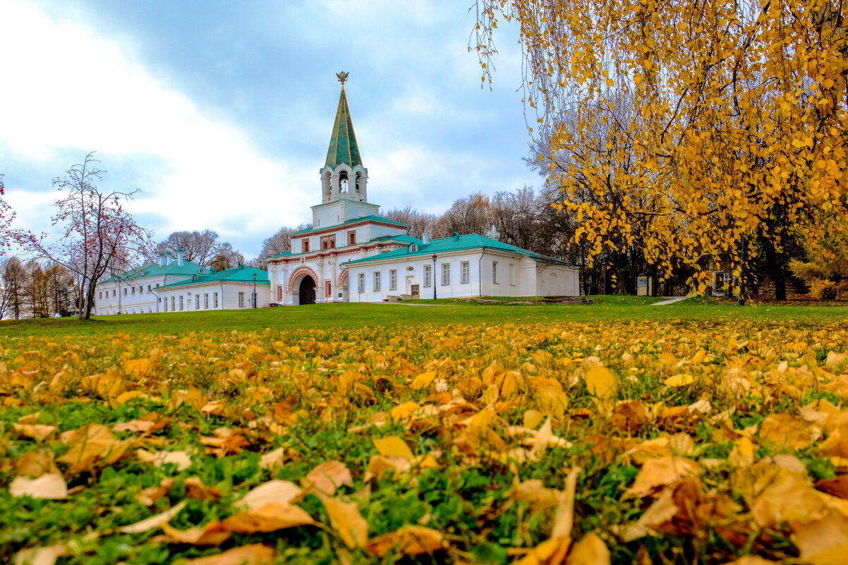 В Коломенском (3) - Георгий А