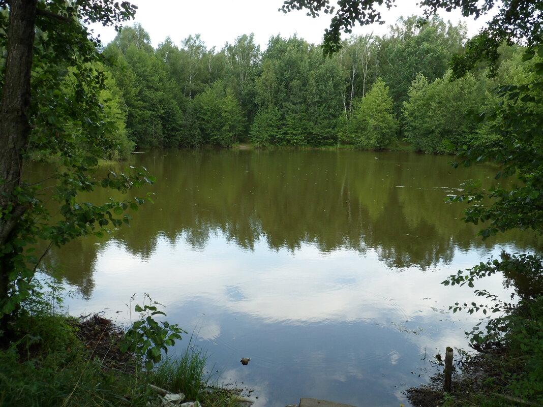 Лесное озеро - Vladius MK 