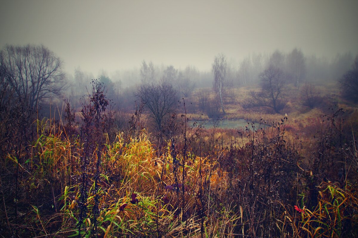 Осень, ноябрь - Наталья Лакомова