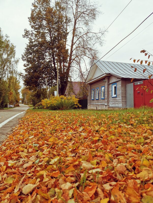 Осень в Нерехте - Наталья Шабалина 