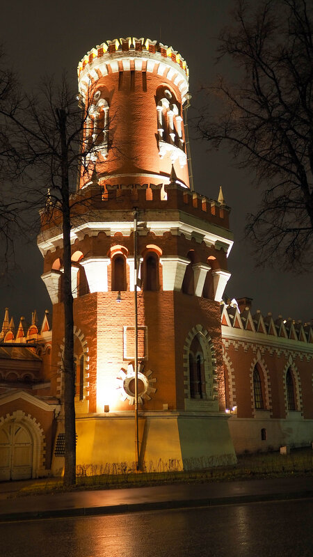 Фрагмент башни Петровского путевого дворца - Надежда К
