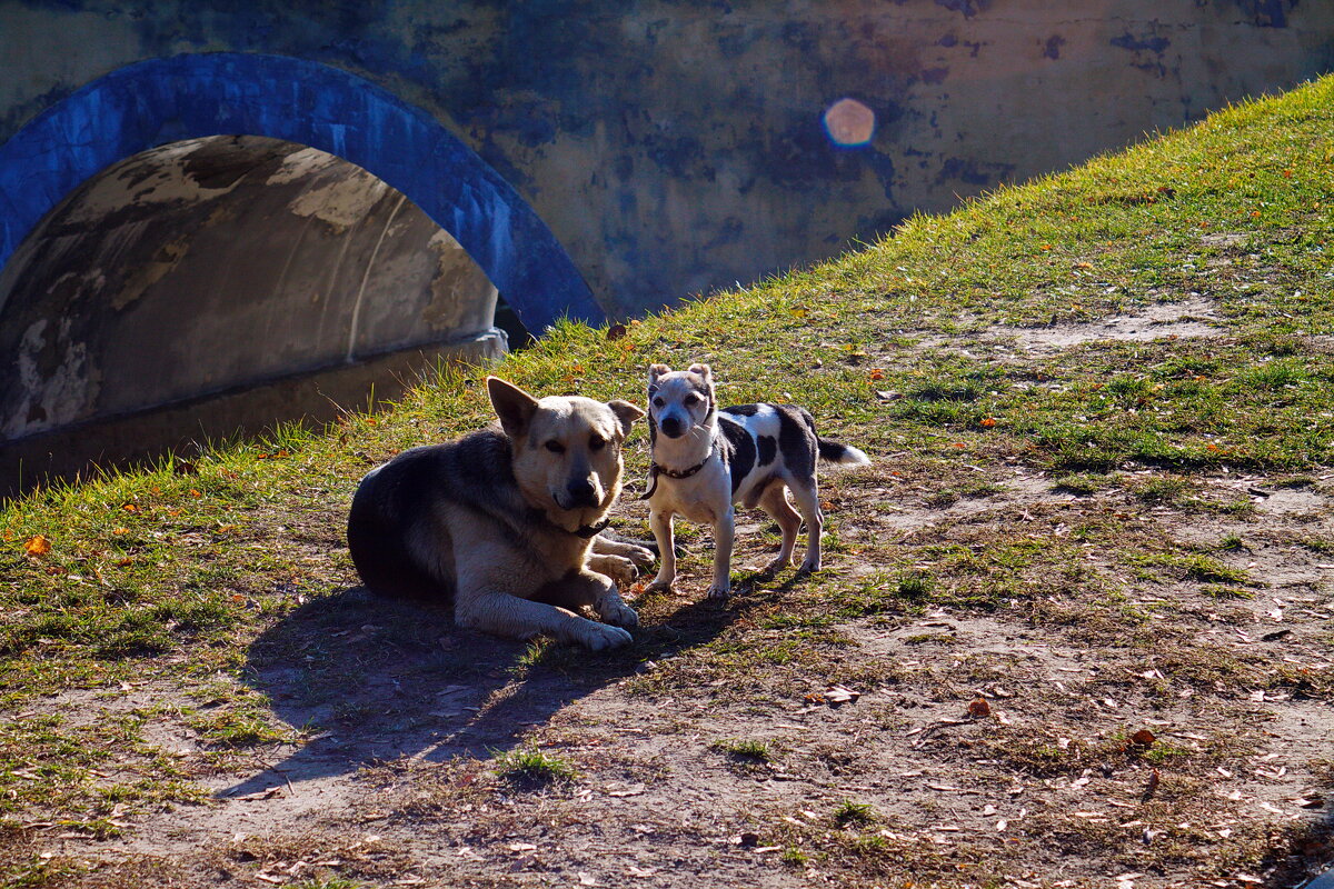 Friends - M Marikfoto