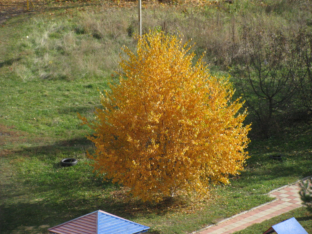 Осеннее... - Владимир Драгунский