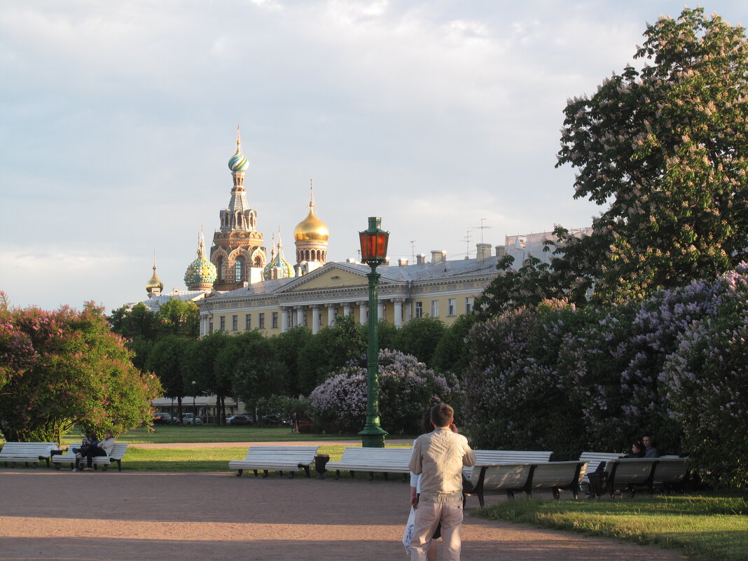 В Санкт-Петербурге цветёт сирень - Татьяна 