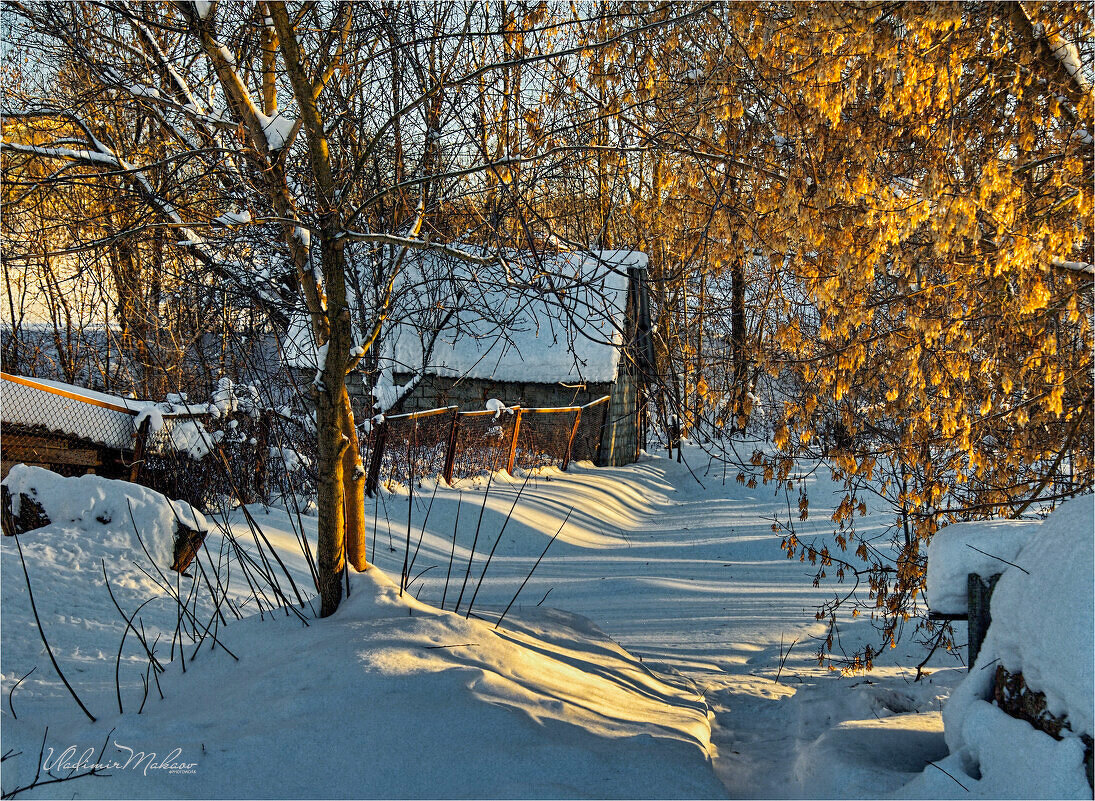 "Зима и солнце"© - Владимир Макаров