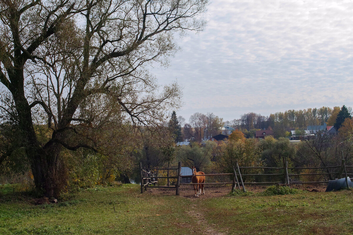 Золотая осень в Ясной поляне - Владимир 