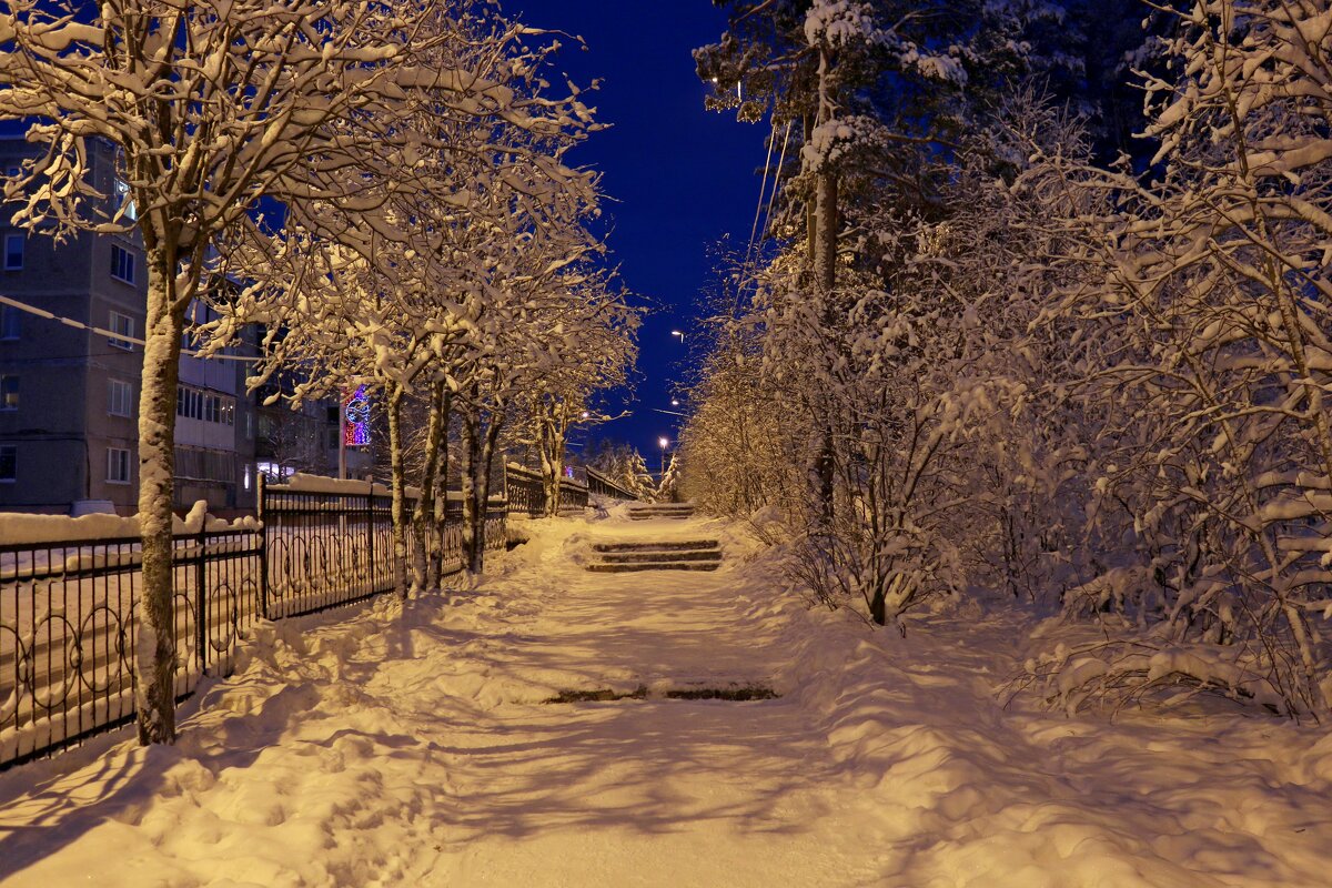 Время длинных ночей - Ольга 