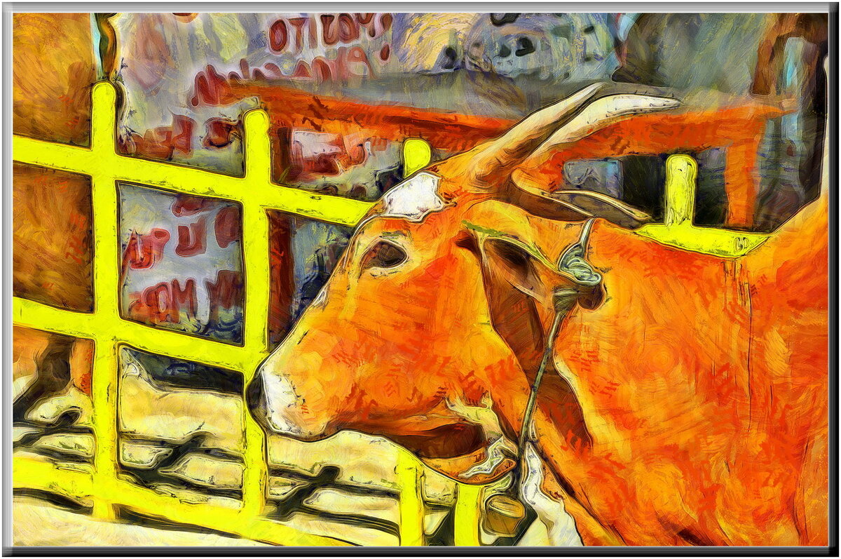 Красная корова - Юрий Гилёв