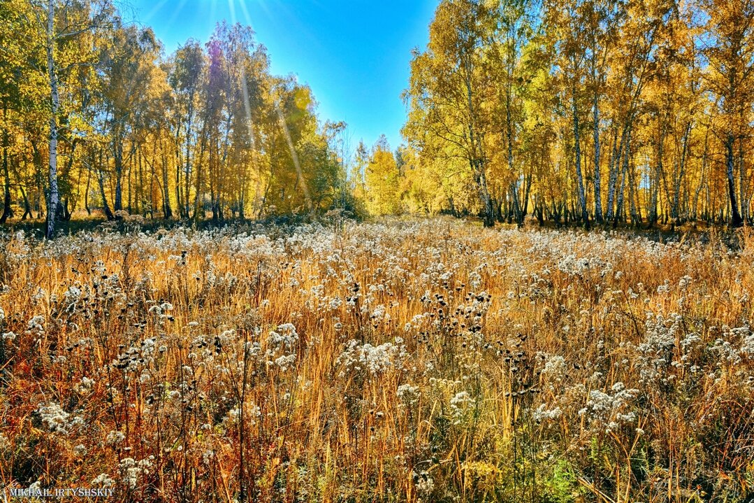 Осенняя поляна - Mikhail Irtyshskiy