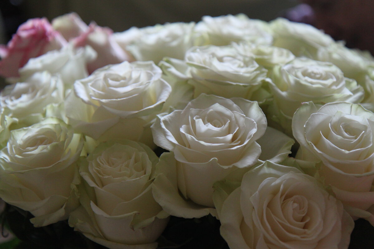 Свадебные цветы - Ольга Ч