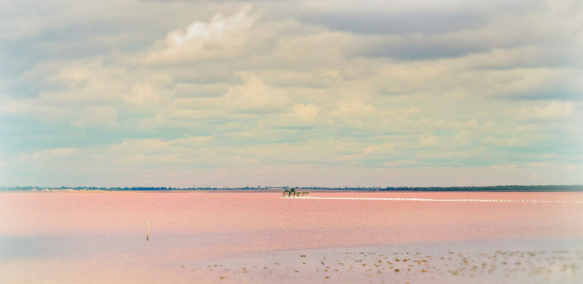 Розовое озеро Сасык-Сиваш - AZ east3