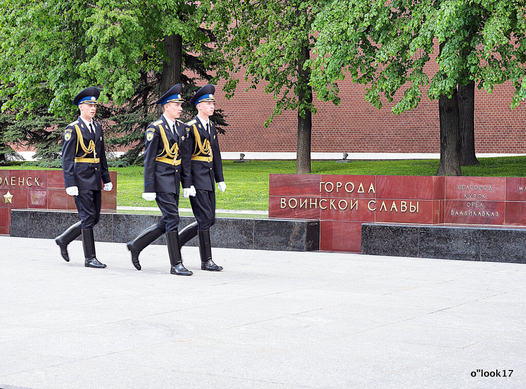 синхронной походкой - Олег Лукьянов