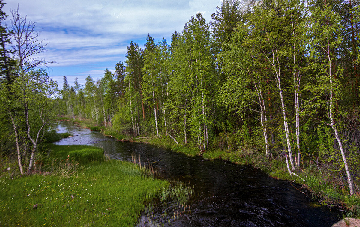 Karelia 11 - Arturs Ancans