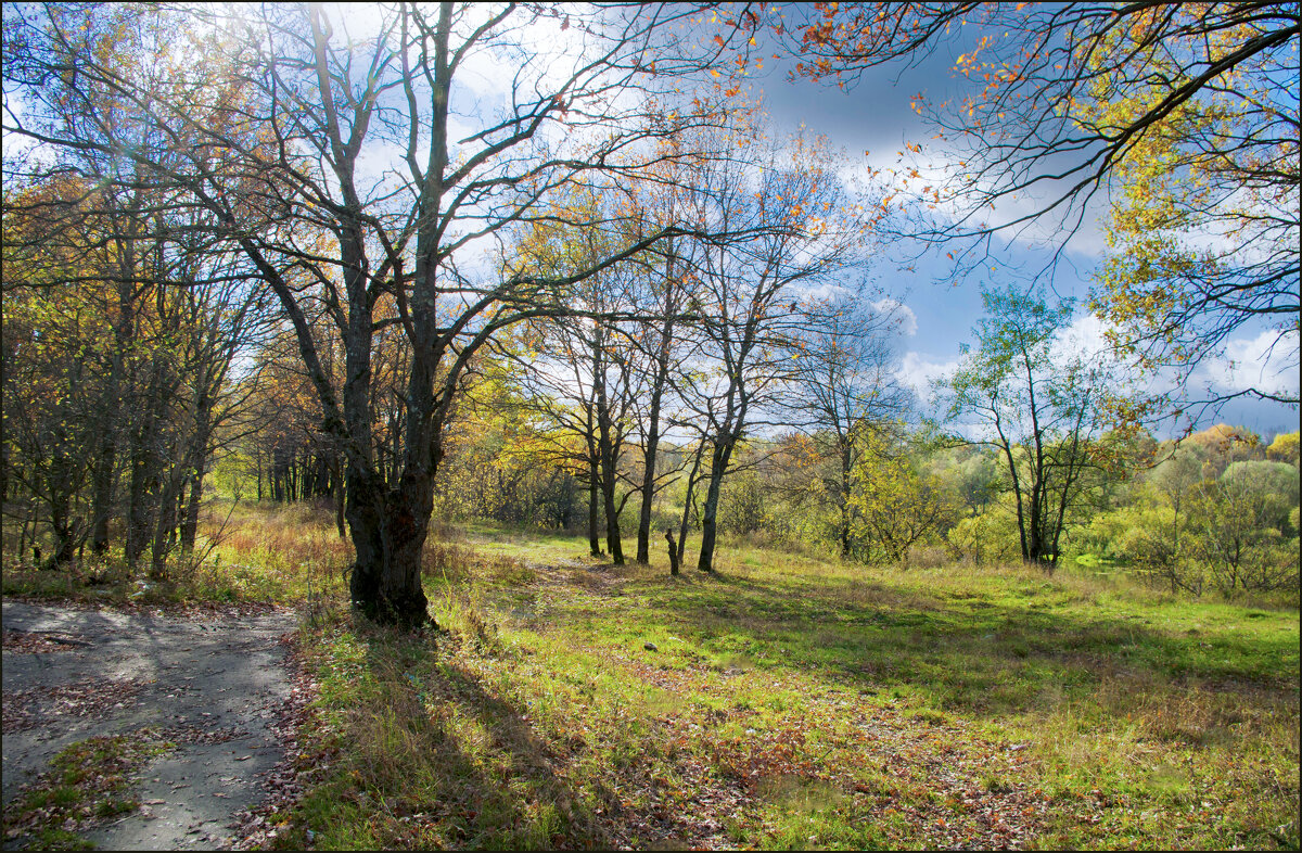 Осень. Район возле Болвы - Евгений 