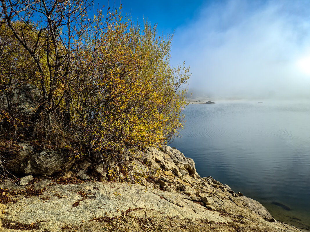 Туман на озере - Валерий Т