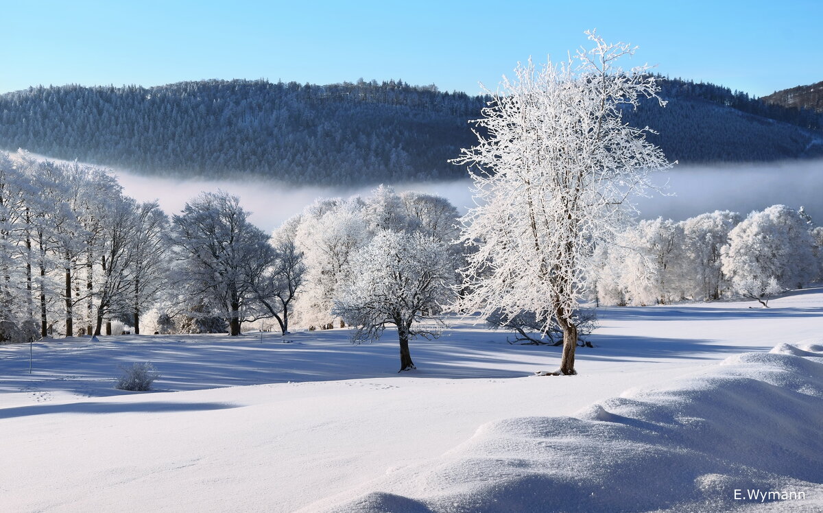 winter view - Elena Wymann