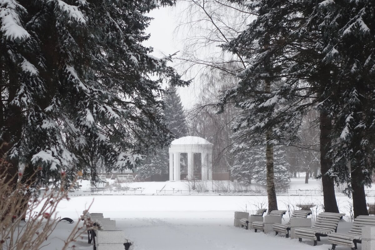 в зимнем парке - Елена 