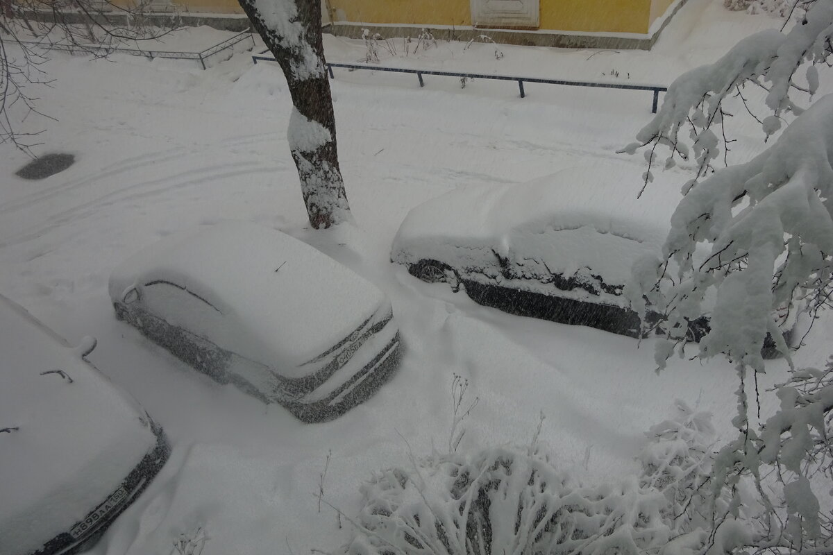 Снег идёт - Татьяна 