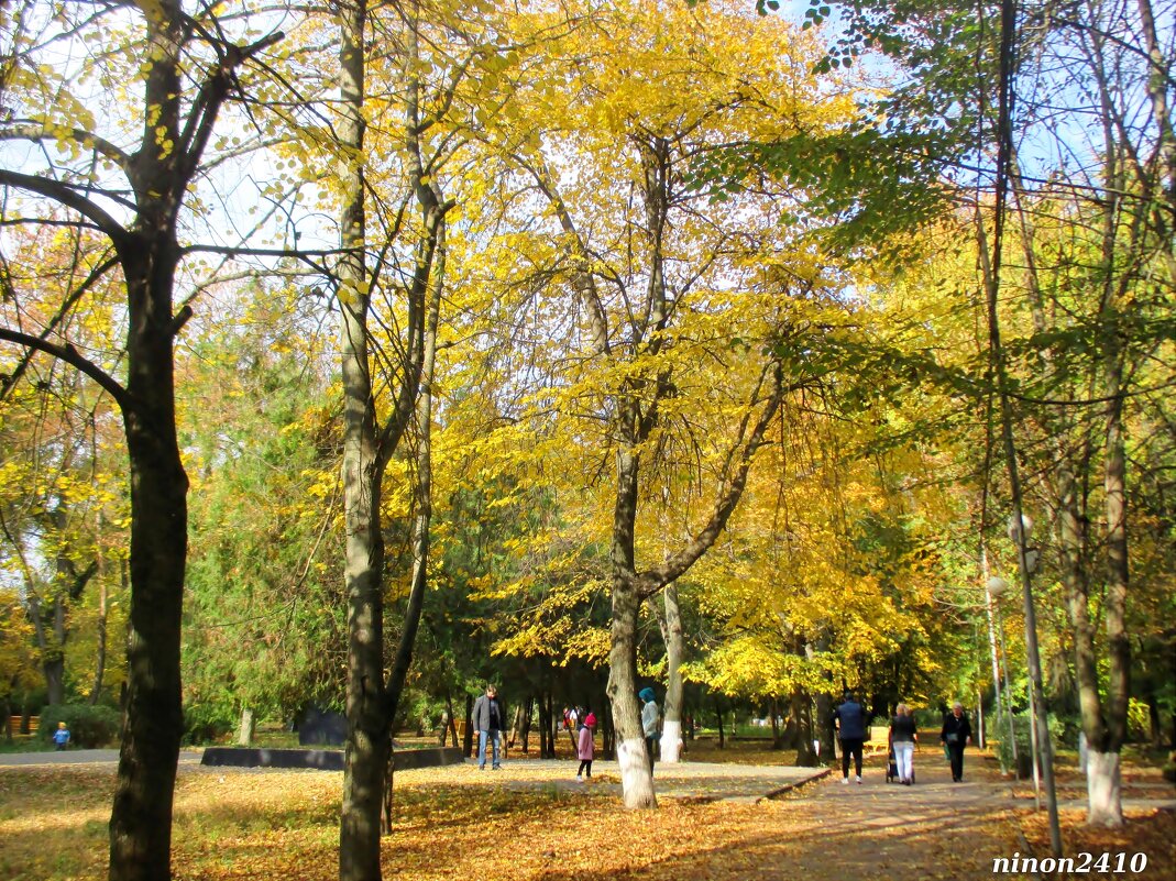 В городском парке - Нина Бутко