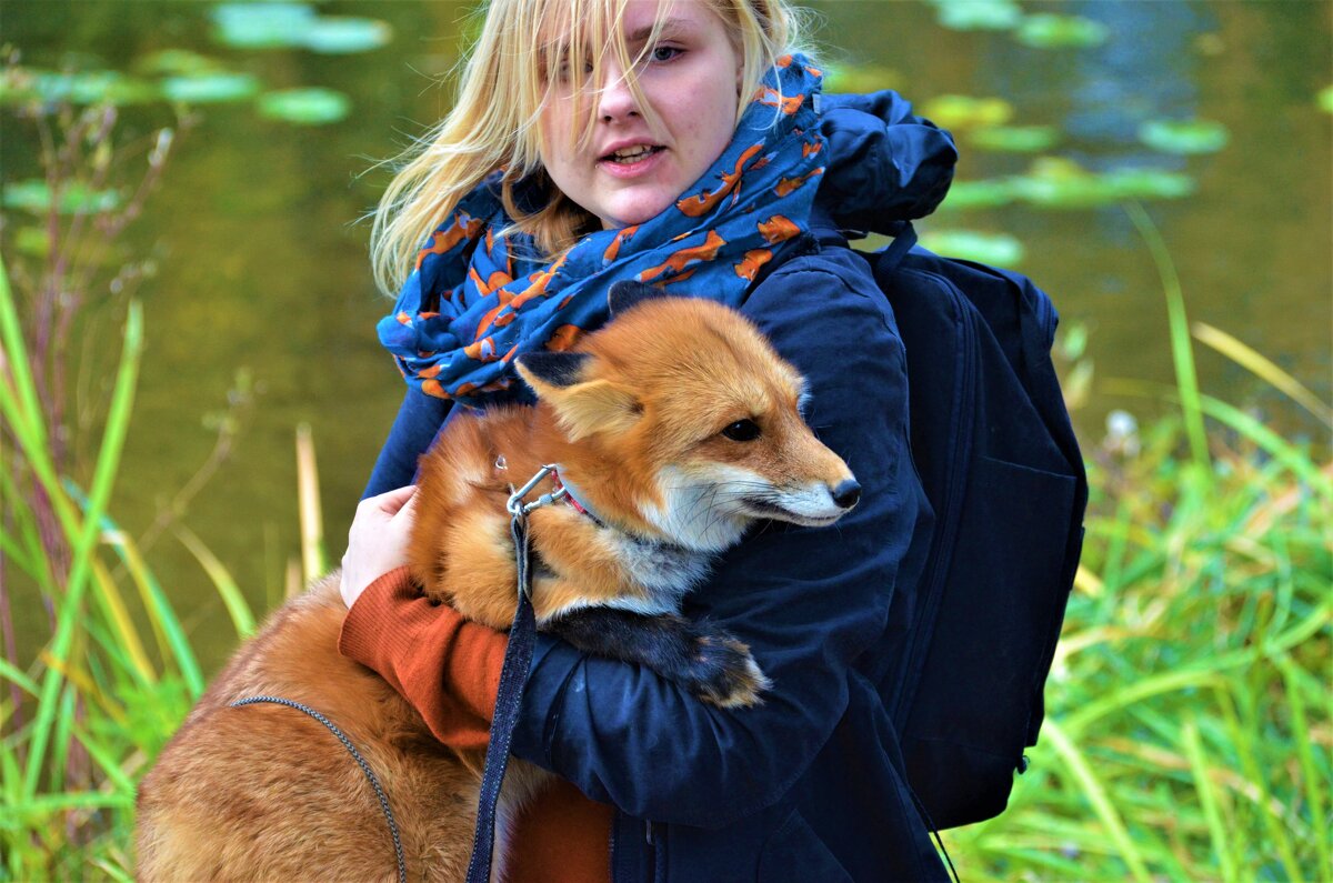 Ручную лису привезли на природу для фотосессии. А мне повезло оказаться рядом:-) - Ольга Русанова (olg-rusanowa2010)