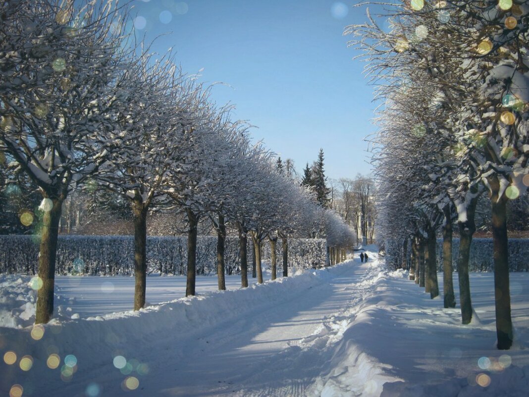Зима — время пушистых снежинок, горячего чая и хороших книг… Будьте счастливы этой зимой - Tatiana Markova